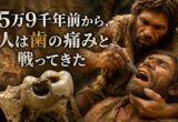 5万9千年前の歯科治療