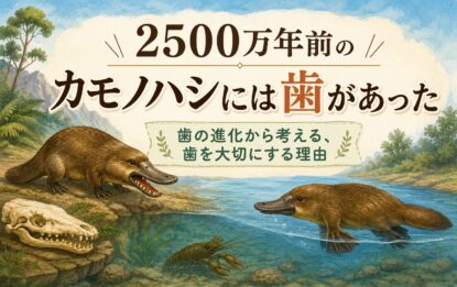 2500万年前のカモノハシには歯があった｜歯の進化から考える、歯を大切にする理由